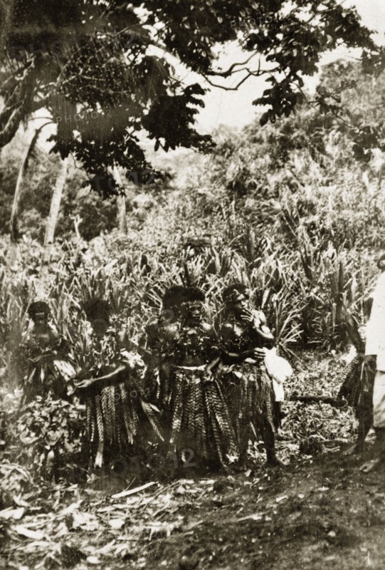 Fijian firewalkers. A group of Fijian men wear traditional dress consisting of tassled skirts, garlands of leaves and headbands. They are identified as 'firewalkers', people able to walk barefoot over hot coals. Fiji, 21-27 May 1924. Fiji, Pacific Ocean, Oceania.