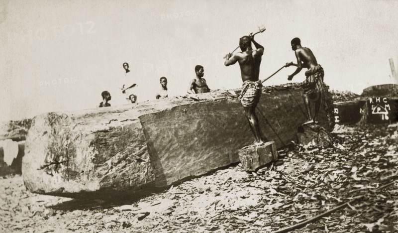 Cutting mahogany, West Africa. A large piece of mahogany timber is cut and prepared for sale by men using hand axes. Western Africa, circa 1920., Western Africa, Africa.
