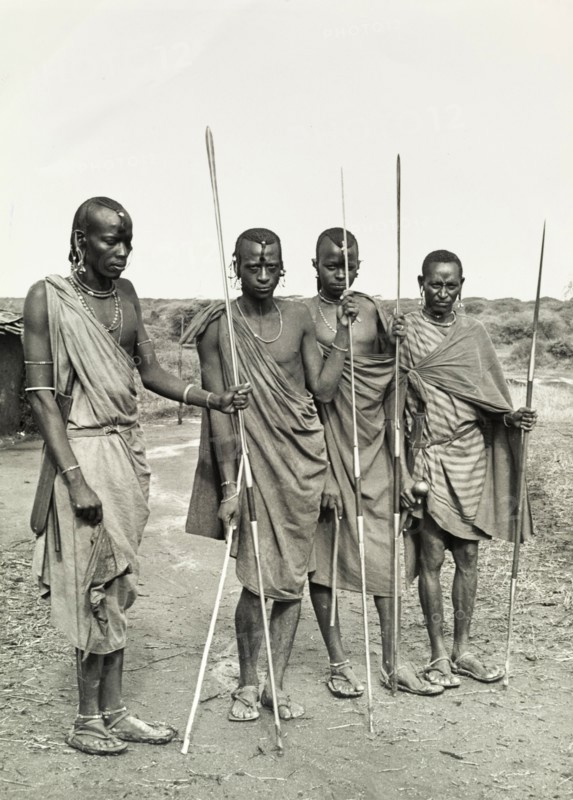 Maasai warriors, Tanganyika. Four Maasai warriors dressed in traditional dress pose for the camera, spears in hand. Tanganyika Territory (Tanzania), circa 1960. Tanzania, Eastern Africa, Africa.