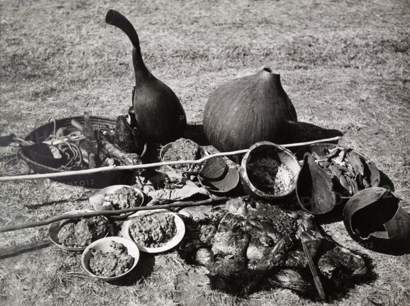 Ingredients for a Mau Mau oathing ceremony. A staged photograph of the ingredients and substances believed to be used by Mau Mau fighters when administering an oath of loyalty to new recruits. Kenya, circa 1953. Kenya, Eastern Africa, Africa.