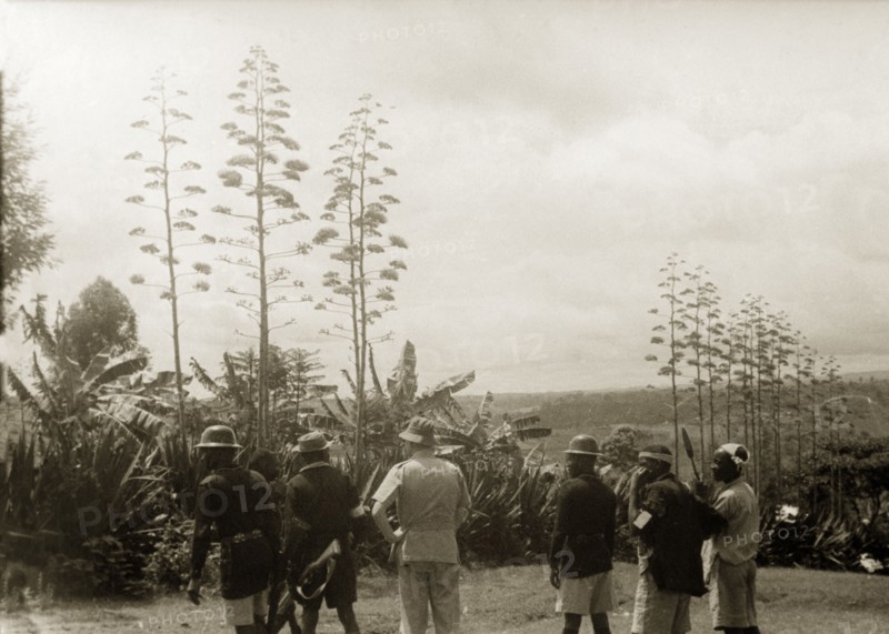 A farmer's Home Guard. Six men, their backs to the camera, look out towards the forest in search of Mau Mau fighters. The two uniformed men on the left are from the Kenya Police, the European man in the middle is the district officer and the three men on the right are Kikuyu Home Guards. Kenya, circa 1952. Kenya, Eastern Africa, Africa.