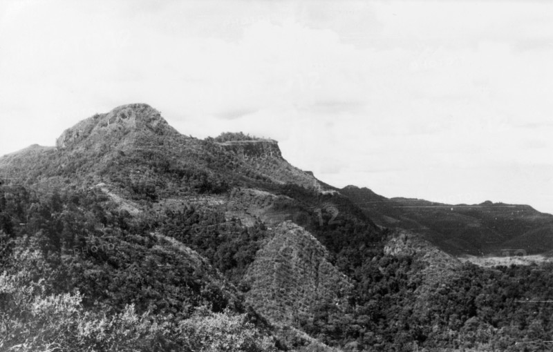 Typical Mau Mau country. Landscape typical of the highlands surrounding Mount Kenya. Forested with dense scrubland, this terrain afforded Mau Mau fighters the cover they needed to elude the opposition and plan their attacks. Central Kenya, circa 1955., Central (Kenya), Kenya, Eastern Africa, Africa.