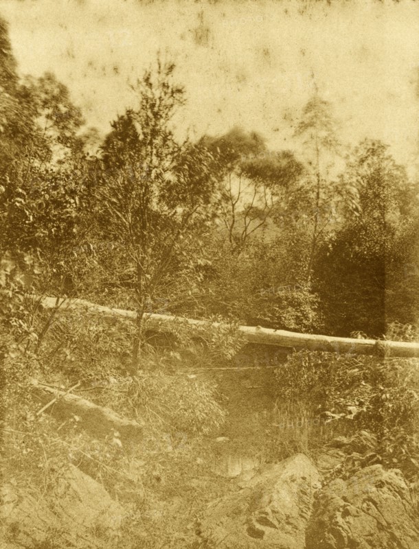 Gold creek, Australia. A fallen tree trunk forms a natural bridge over the river in the outback at Gold creek. Queensland, Australia, circa 1890., Queensland, Australia, Australia, Oceania.