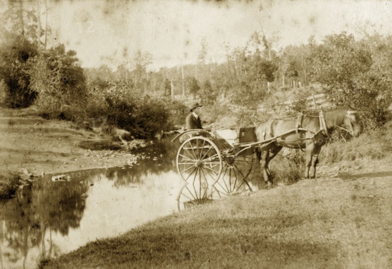 Horse-drawn buggy in the outback. A man in a bowler hat drives a two-wheeled horse-drawn buggy across a shallow stream in the outback. Queensland, Australia, circa 1890., Queensland, Australia, Australia, Oceania.