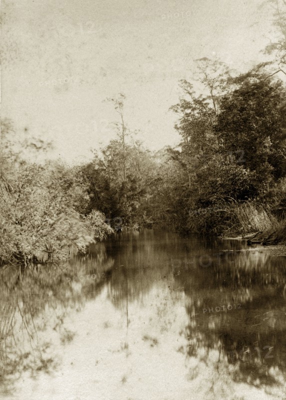 Moggill creek, Australia. A peaceful stretch of river in the outback at Moggill creek. Queensland, Australia, circa 1890., Queensland, Australia, Australia, Oceania.