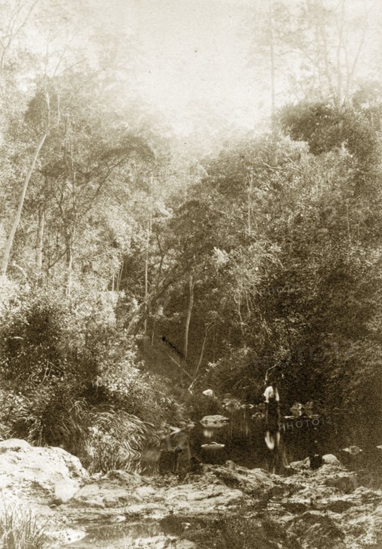 Standing in Moggill creek, Australia. A man stoops, knee-high in water, over a shallow point in the river at Moggill creek. Brookfield, Australia, circa 1890. Brookfield, Queensland, Australia, Australia, Oceania.