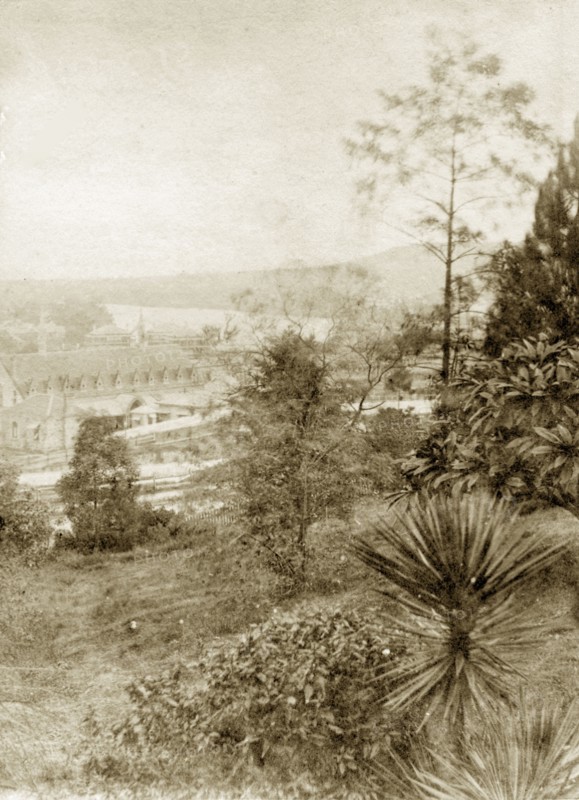 View from Wickham Terrace. A sloping garden belonging to a house at Wickham Terrace faces out over the city of Brisbane. Brisbane, Australia, circa 1890. Brisbane, Queensland, Australia, Australia, Oceania.