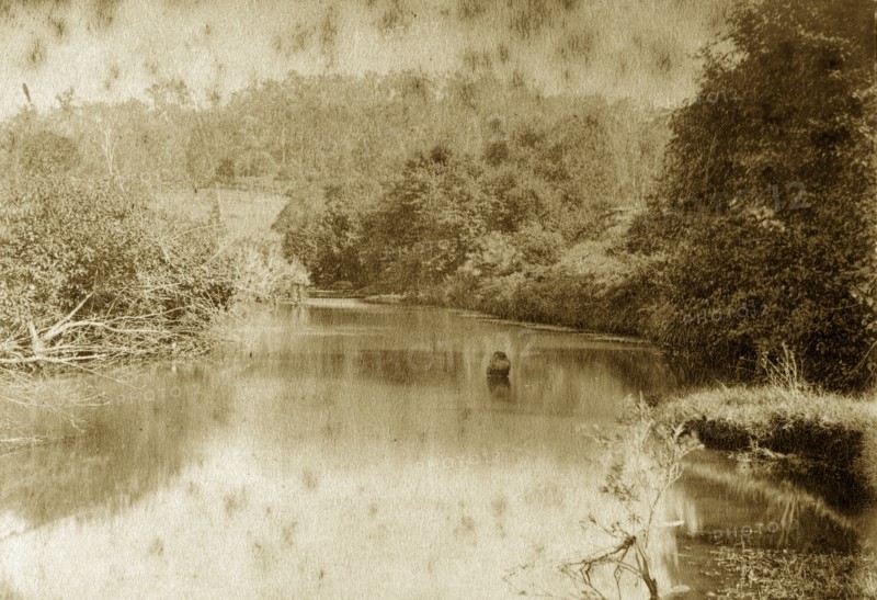Gold creek, Australia. A lone rock breaks the surface of the still water at Gold creek as it meanders towards the Brisbane river. Queensland, Australia, circa 1890., Queensland, Australia, Australia, Oceania.