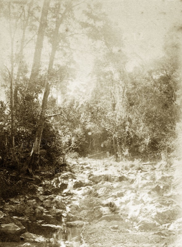 Dry riverbed at Moggill creek. Water trickles down a rocky riverbed in the outback at Moggill creek. Brookfield, Australia, circa 1890. Brookfield, Queensland, Australia, Australia, Oceania.