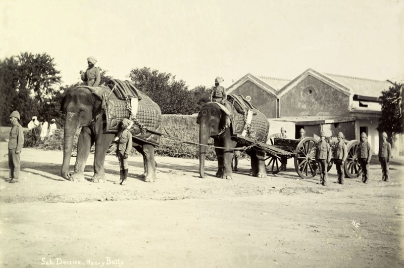 Battery division elephants. Two elephants working in the heavy battery division of the Royal Artillery pull a cart loaded with a carriage-mounted siege gun. India, circa 1895. India, Southern Asia, Asia.