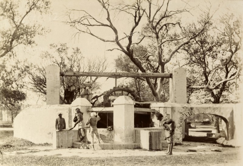 An Indian 'bheesti' visits the well. An Indian 'bheesti' or water carrier hauls a heavy bag of water onto his back at a large, cattle-driven well. India, circa 1895. India, Southern Asia, Asia.
