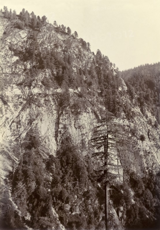 Hill road beyond Murree. A road cut into the sheer face of a Himalayan mountain close to the town of Murree, is barely visible as a pale horizontal line running across the hillside. India (Pakistan), circa 1895., North West Frontier Province, Pakistan, Southern Asia, Asia.