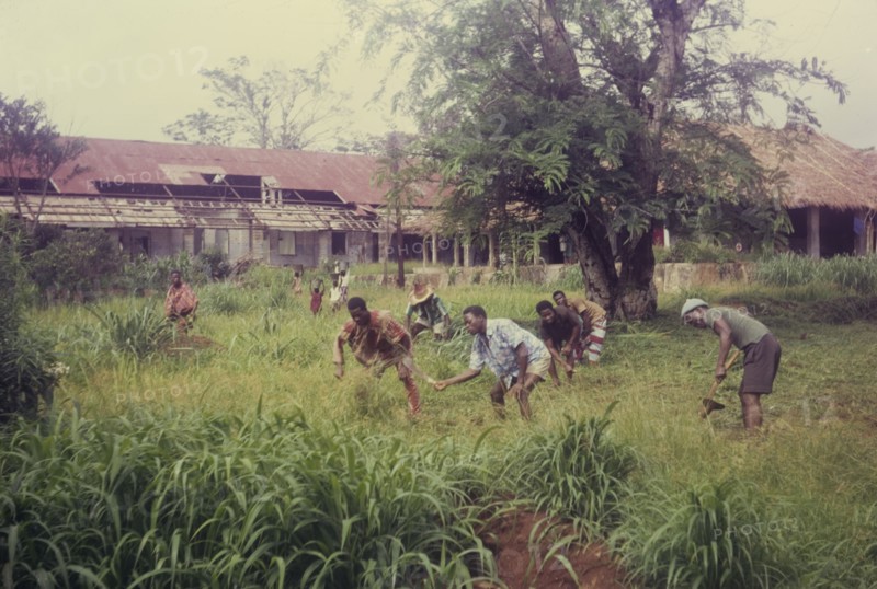 ICI students clear ground at Iyi Enu. A group of men identified as 'ICI students' clear overgrown land next to the Iyi Enu Church of Nigeria Hospital, a victim of raids carried out during the Nigerian Civil War (1967-70). Iyi Enu, Nigeria, circa 1970. Iyi Enu, Anambra, Nigeria, Western Africa, Africa.