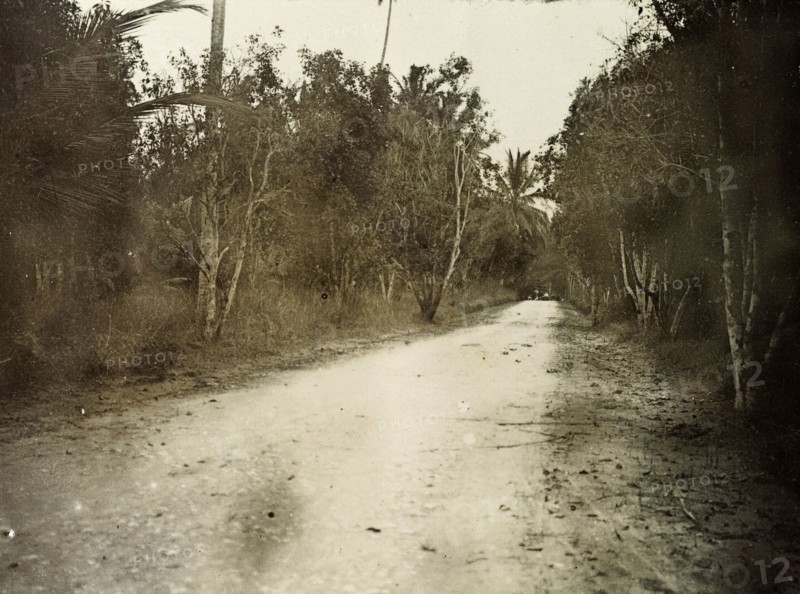 The road to Kampala. The 'road to Kampala', a track surrounded by trees leads away into the distance. Uganda, 1906. Uganda, Eastern Africa, Africa.