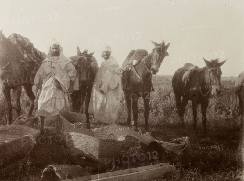 Loading up mules, Morocco. Two men load up their mules with large baskets before starting out on a journey. Morocco, 1898. Morocco, Northern Africa, Africa.