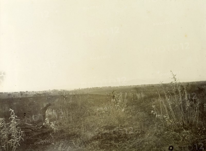 Typical Kenyan grasslands. Kenyan grasslands typical of the terrain Frederick Stanbury passed through on his safari trip through the Lake Baringo area. British East Africa (Kenya), 1906. Kenya, Eastern Africa, Africa.
