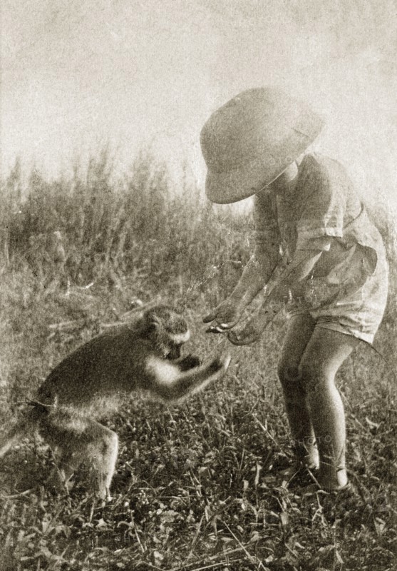 Charlie Trotter and Marmaduke. A young Charles Trotter, aged around five years, wears a solatopi hat as he plays outdoors with his pet Vervet monkey, 'Marmaduke'. Uganda, circa 1927. Uganda, Eastern Africa, Africa.