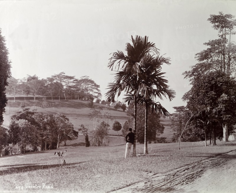 Malaysian public gardens. Public gardens with well kept lawns and trees. Probably near Kuala Lumpur, British Malaya (Malaysia), circa 1900. Malaysia, South East Asia, Asia.