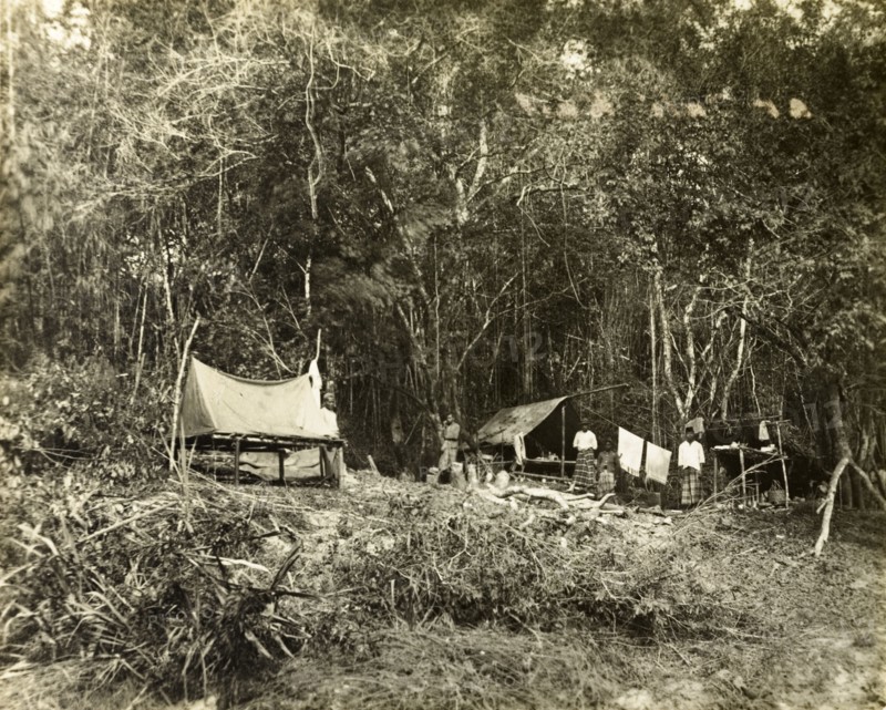 Trigonometrical survey camp at Tali Kail. Trigonometrical survey camp at Tali Kail. Near Gerik, British Malaya (Malaysia), circa 1901. Gerik, Perak, Malaysia, South East Asia, Asia.