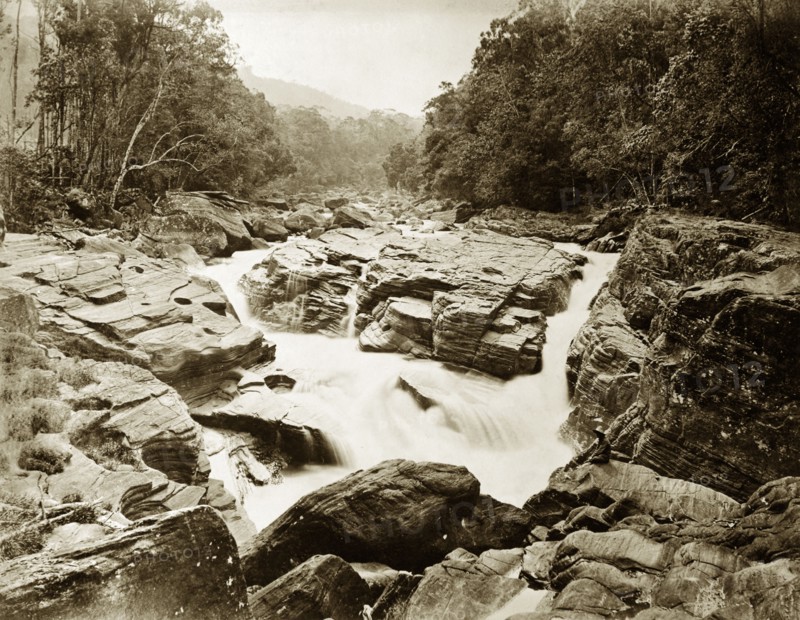 Jungle rapids, Ceylon. A slow exposure photograph of rapids on the Maskeliya River. Ceylon (Sri Lanka), circa 1885., Central (Sri Lanka), Sri Lanka, Southern Asia, Asia.