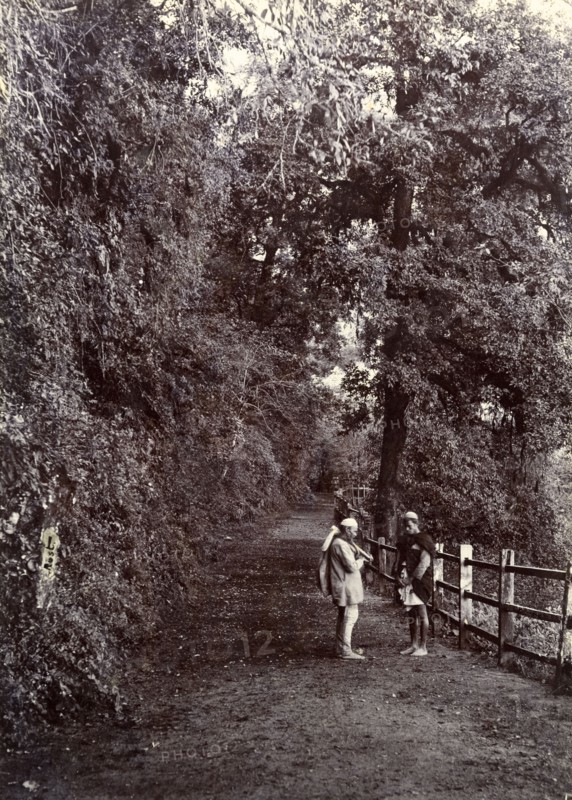 Road in Mussoorie, India. Two men chat on a roadside surrounded by tall trees at a mountain hill station. Mussoorie, India, circa 1890. Mussoorie, Uttaranchal, India, Southern Asia, Asia.