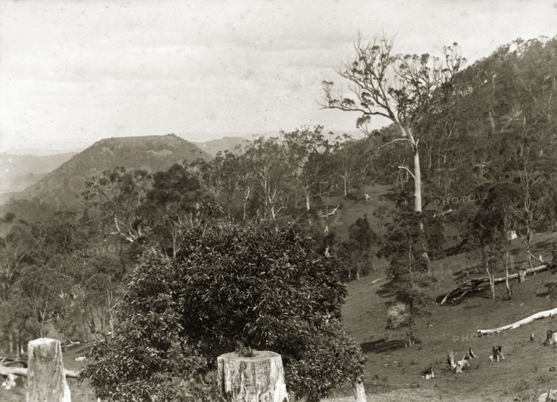 The Toowoomba range. The sloping hills of the range at Darling Downs. Toowoomba, Australia, circa 1890. Toowoomba, Queensland, Australia, Australia, Oceania.