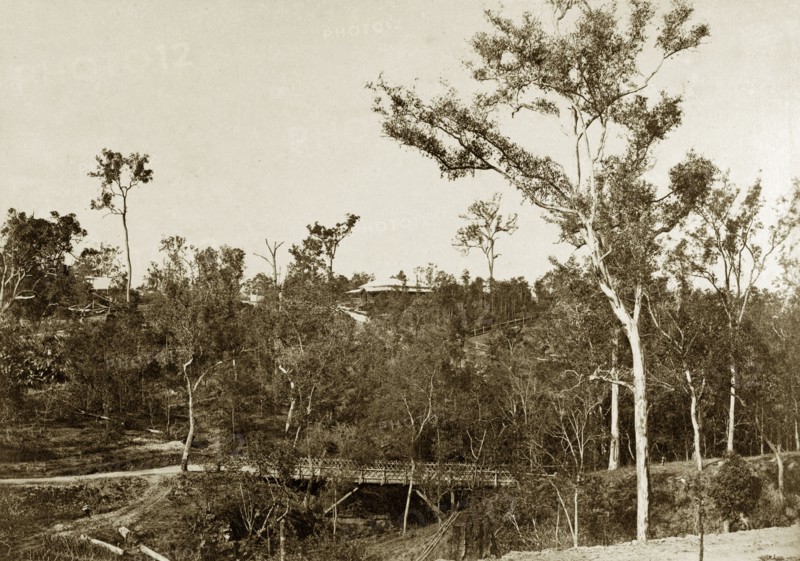 Colonial homestead, Queensland. Distant view of a colonial homestead on a rise, glimpsed through eucalyptus trees. Probably in the Darling Downs, Queensland, Australia, circa 1890., Queensland, Australia, Australia, Oceania.