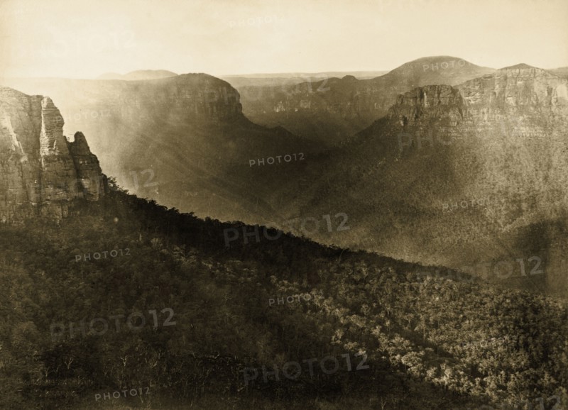 Grove Valley, Australia. Grove Valley in the Blue Mountains, taken, according to a later manuscript caption, from 'Covell's Leap'. New South Wales, Australia, circa 1885., New South Wales, Australia, Australia, Oceania.