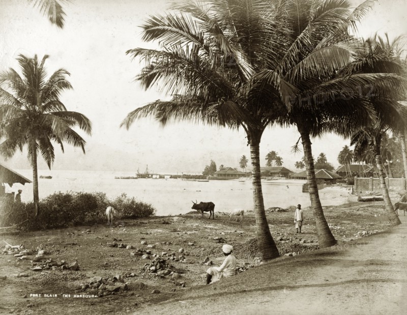 The harbour at Port Blair. A quiet harbourside scene at Port Blair. Andaman Islands, India, circa 1895. Port Blair, Andaman and Nicobar Islands, India, Southern Asia, Asia.