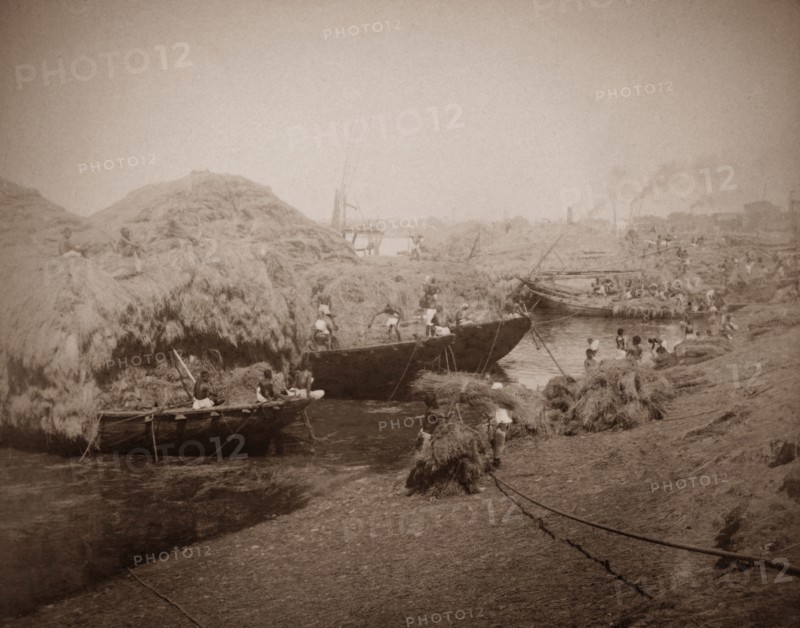 Loading barges at the Hooghly River. Workers load barges with what appears to be either straw or reeds, at a harbour located on the banks of the Hooghly River. Calcutta (Kolkata), India, circa 1890. Kolkata, West Bengal, India, Southern Asia, Asia.