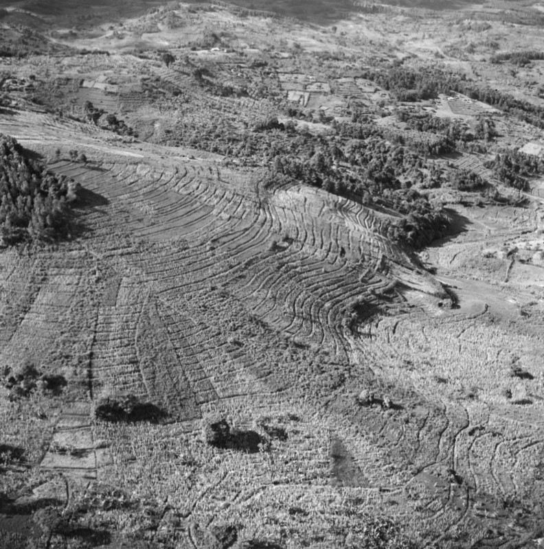 Kikuyu Reserve from the air. Aerial view taken from a Kenya Police Reserve (KPR) aircraft showing cultivated agricultural land in the Kikuyu Reserve. Rift Valley, Kenya, 30 October 1952., Rift Valley, Kenya, Eastern Africa, Africa.