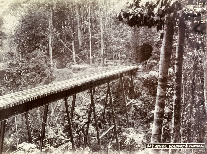 Railway viaduct and tunnel. A railway track runs across a narrow trestle bridge into a mountainside tunnel. Jamaica, circa 1895. Jamaica, Caribbean, North America .