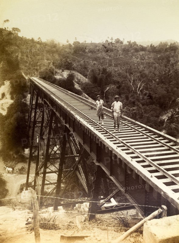 Railway viaduct, Jamaica. Two men stand barefoot on a newly completed trestle bridge built across a steep valley. The bridge was one of several viaducts constructed to carry new railway lines. Jamaica, circa 1895. Jamaica, Caribbean, North America .