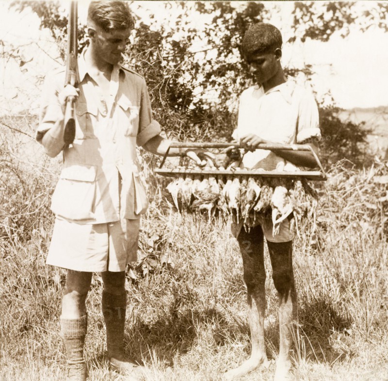 Bird shooting at Gokalpur. A British man identified as 'D.R.G.' ('Dennis') smokes a cigarette, shotgun over shoulder, as he examines the day's kill: a rack full of birds carried by an Indian servant. Gokalpur, India, circa 1943. Gokalpur, West Bengal, India, Southern Asia, Asia.