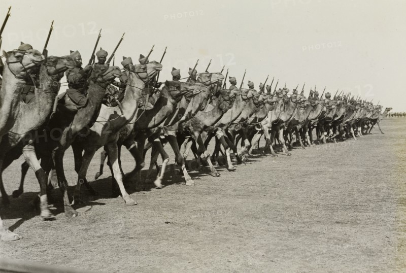 Camel parade at Delhi. March past of an armed camel corps at the Coronation Durbar, held in honour of King George V, Emperor of India. Delhi, India, 13 December 1911. Delhi, Delhi, India, Southern Asia, Asia.