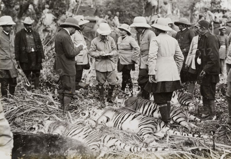 King George V takes notes. King George V (r.1910-36) notes the details of four tigers and a rare Himalayan bear that he has shot during a royal hunt in Chitwan Valley. Narayani, Nepal, 21 December 1911., Narayani, Nepal, Southern Asia, Asia.