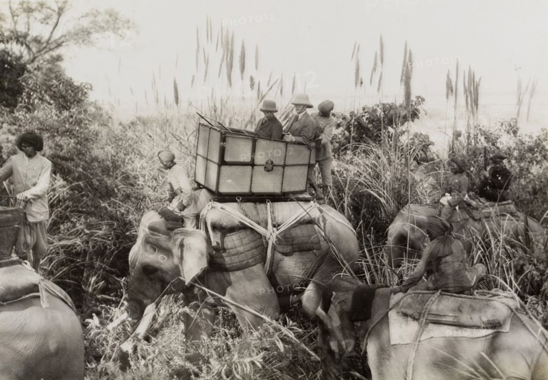 King George V in the jungle. King George V (r.1910-36) and his royal aide ride through the jungle on an elephant during a hunt in Chitwan Valley hosted by the Maharajah of Nepal. Narayani, Nepal, circa 18 December 1911., Narayani, Nepal, Southern Asia, Asia.