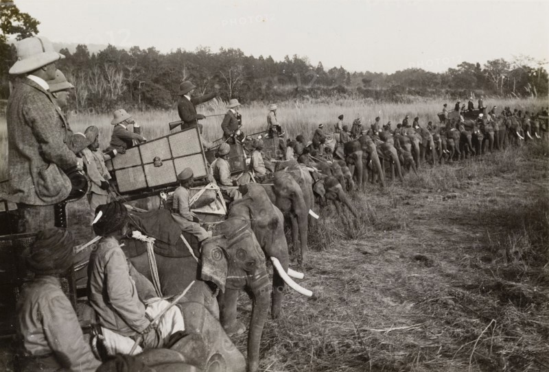Portion of the ring'. A royal hunting party in Chitwan Valley, hosted by the Maharajah of Nepal for King George V (r.1910-36), draws its elephants into a ring. The King stands, rifle in hand, pointing instructions from his elephant's howdah. Narayani, Nepal, circa 18 December 1911., Narayani, Nepal, Southern Asia, Asia.