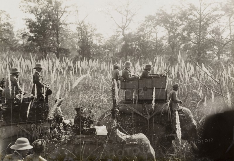 A royal hunt in the evening sunlight. King George V (r.1910-36) and his royal hunting party trek through the jungle on elephants in the early evening sunlight. The King travelled to Nepal to hunt in Chitwan Valley following his Coronation Durbar in Delhi. Narayani, Nepal, circa 20 December 1911., Narayani, Nepal, Southern Asia, Asia.