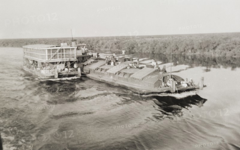 Nile steamer with barges. A steamer attended by barges makes its way along the River Nile in the sudd, a vast area of swampland formed by the River Nile in southern Sudan. Malakal, Sudan, 1946. Malakal, Upper Nile, Sudan, Eastern Africa, Africa.