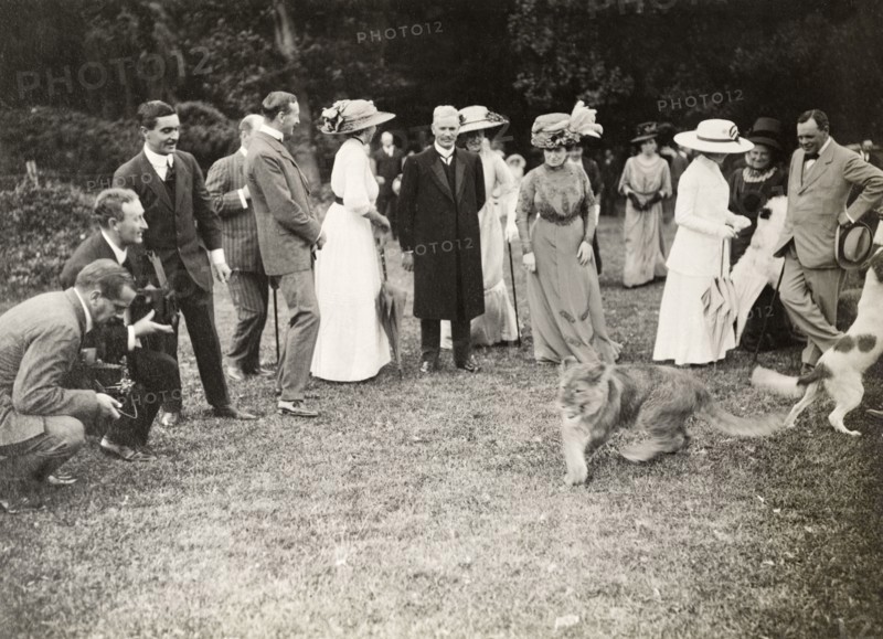 Lion cub at a royal garden party, Bloemfontein. Formally dressed guests are entertained by the release of a captive lion cub during a garden party held in honour of the Duke and Duchess of Connaught. This was one of several stops made by the royal couple following their official visit to Cape Town to open the new Union Parliament. Bloemfontein, Orange Free State (Free State), South Africa, 9 November 1910. Bloemfontein, Free State, South Africa, Southern Africa, Africa.