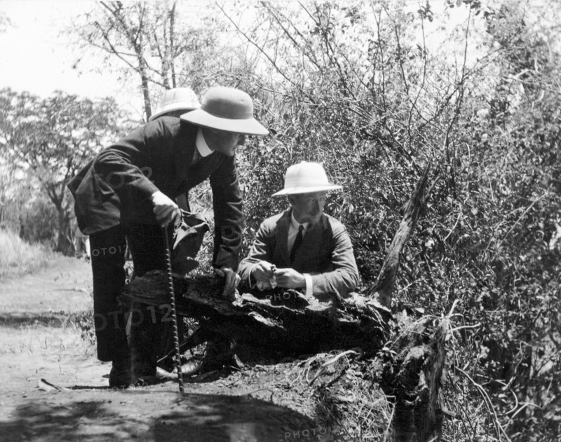 Admiring the Victoria Falls. Three European men perch on the edge of a cliff as they admire a view of the Victoria Falls. Matabeleland, Southern Rhodesia (Matabeleland North, Zimbabwe), 12 November 1910., Matabeleland North, Zimbabwe, Southern Africa, Africa.