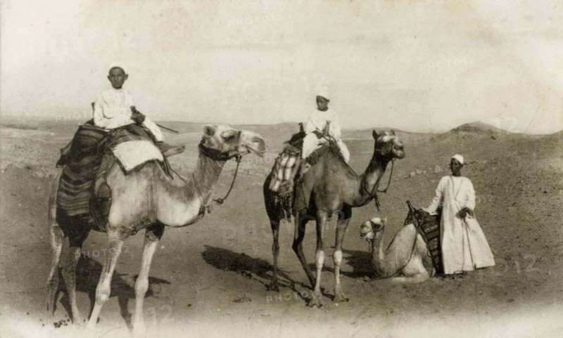 Camel riding, Egypt. An Arab man and two boys ride camels in the desert. Egypt, circa 1925. Egypt, Northern Africa, Africa.