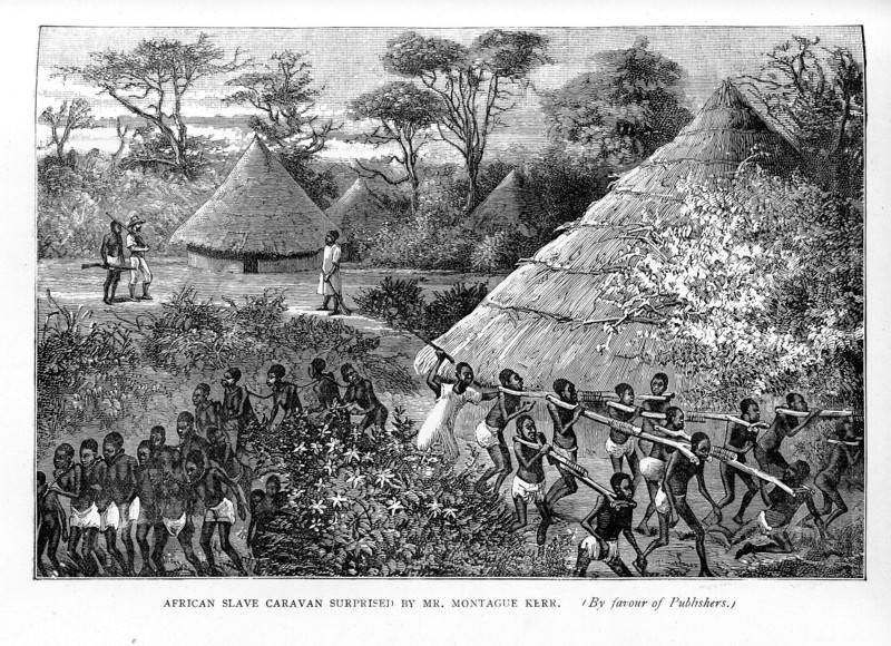 Surprised by Montague Kerr. A book illustration depicts African slave traders rushing their tethered captives into hiding on the arrival of British explorer, Montague Kerr. Zanzibar (Tanzania), circa 1887., Zanzibar Central/South, Tanzania, Eastern Africa, Africa.