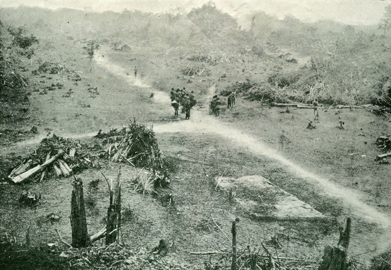 Lungundo after. The once thriving rural village of Lungundo, one of many habitations destroyed under King Leopold II's terror regime to make way for new rubber plantations. Congo Free State (Democratic Republic of Congo), circa 1904. Congo, Democratic Republic of, Central Africa, Africa.