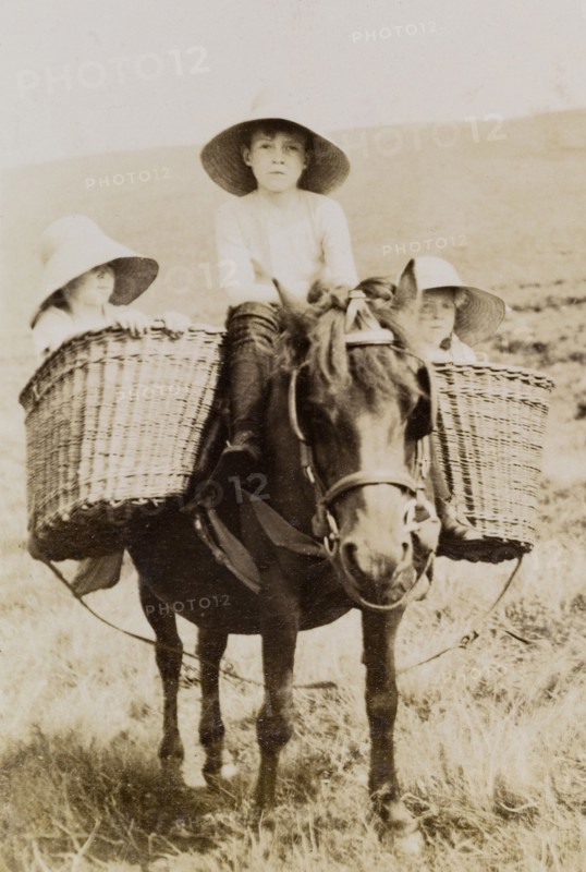 Lawrence children on a pony ride. The children of Phyllis and Sir Henry Staveley Lawrence (a British civil servant) ride a pony outdoors. George (b.1899) sits astride the pony with his younger siblings, Henry (b.1902) and Margaret (b.1904), riding in basketwork panniers on either side. Sind, India (Sindh, Pakistan), 1910., Sindh, Pakistan, Southern Asia, Asia.