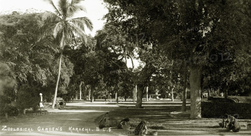 Promenade in the Zoological Gardens of Karachi. A promenade lined with trees in the Zoological Gardens of Karachi. Karachi, India (Pakistan), circa 1910. Karachi, Sindh, Pakistan, Southern Asia, Asia.