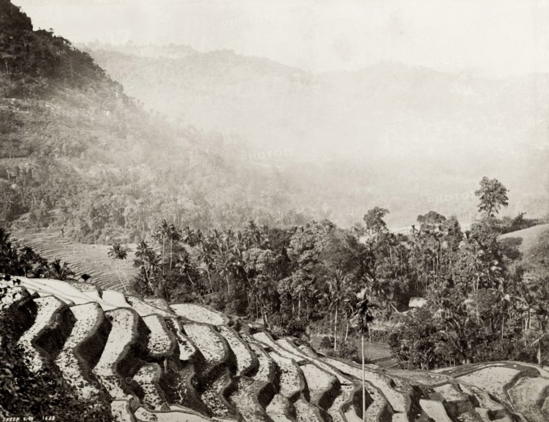 Terraced rice fields, Ceylon. View across a misty mountain valley showing terraced rice fields. Ceylon (Sri Lanka), circa 1885. Sri Lanka, Southern Asia, Asia.