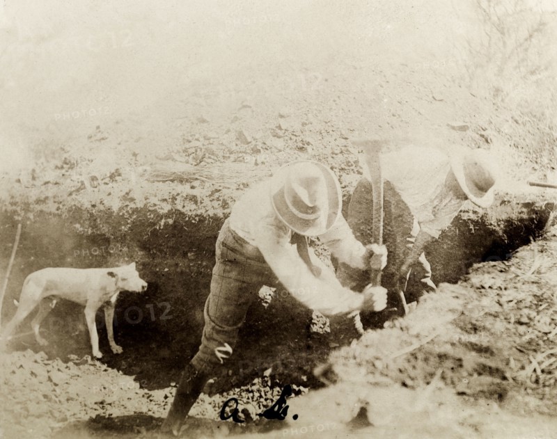 Digging for gold at Coolgardie. Two miners work with pickaxes in an external trench at a Coolgardie gold mine. Coolgardie, Australia, circa 1901. Coolgardie, West Australia, Australia, Australia, Oceania.