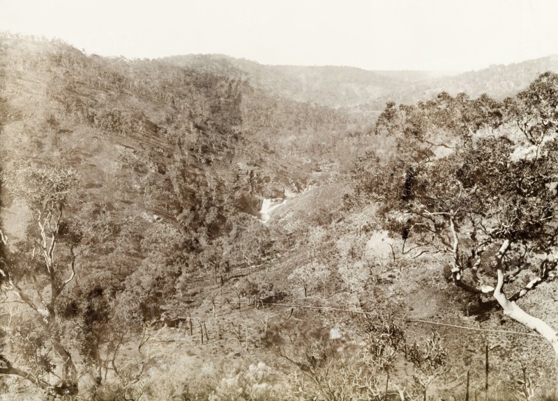 The hills behind Perth. A waterfall and valley in the hills behind Perth. Western Australia, Australia, circa 1901., West Australia, Australia, Australia, Oceania.
